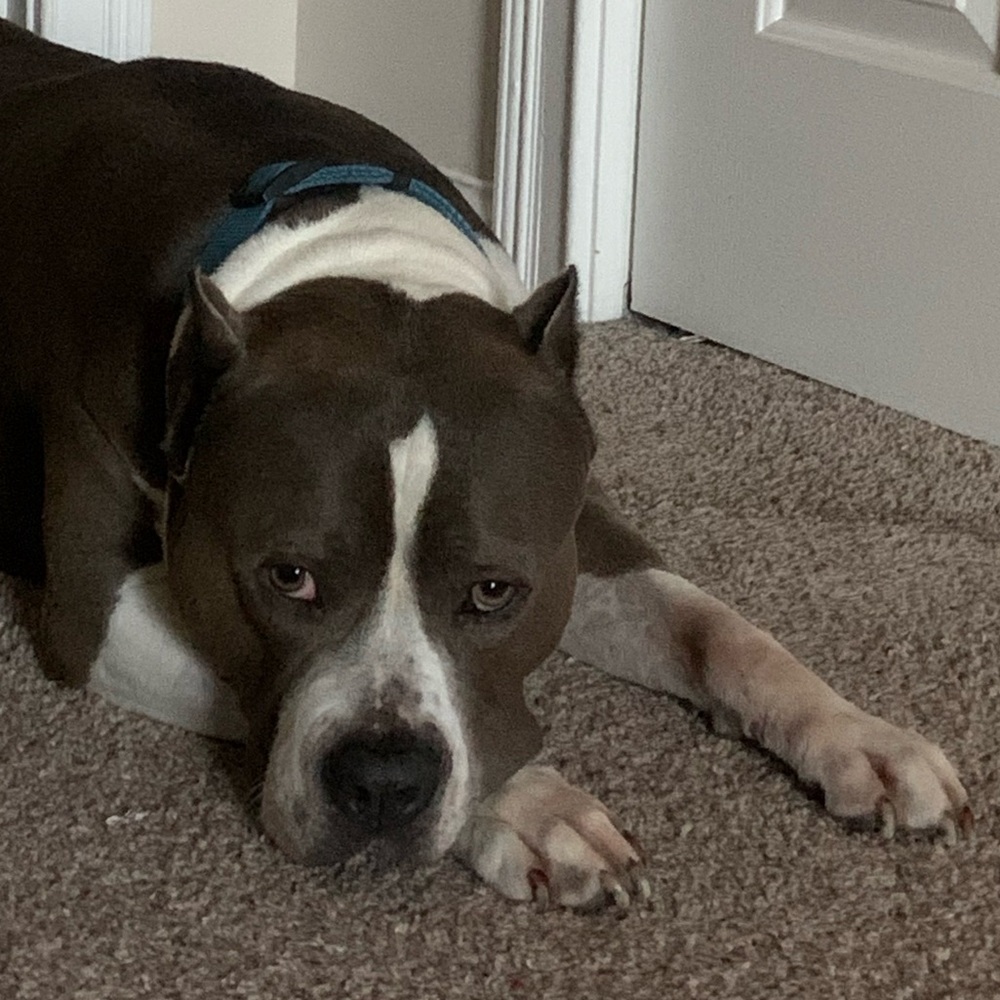 Meet your Posher, Olia